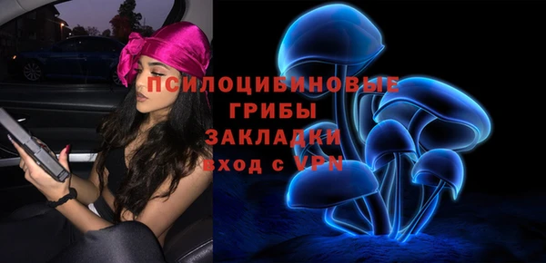 a pvp Дмитровск