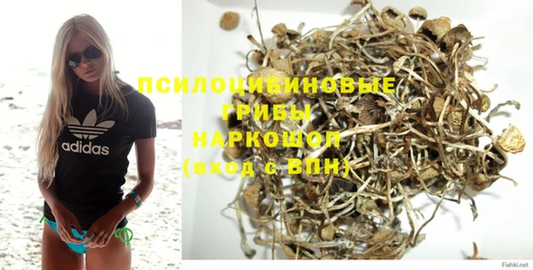 apvp Гусь-Хрустальный