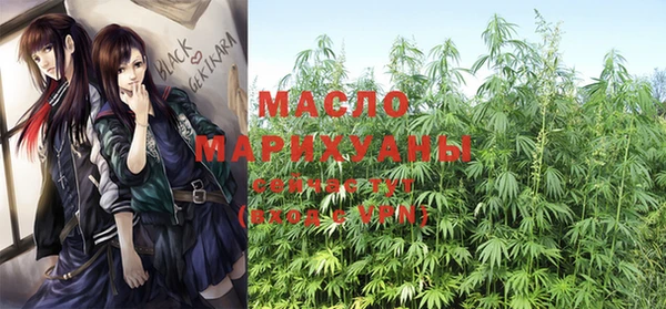 a pvp Дмитровск