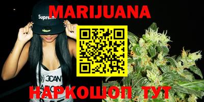 сатива Будённовск