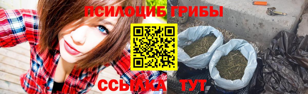 Псилоцибиновые грибы GOLDEN TEACHER Бугуруслан